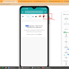 Natural Essential Oil